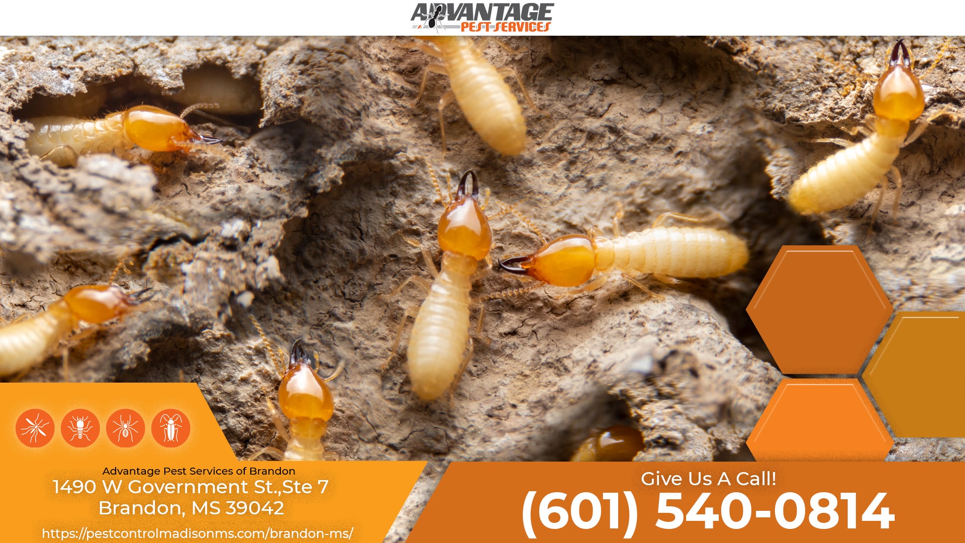 Home Advantage Pest Services